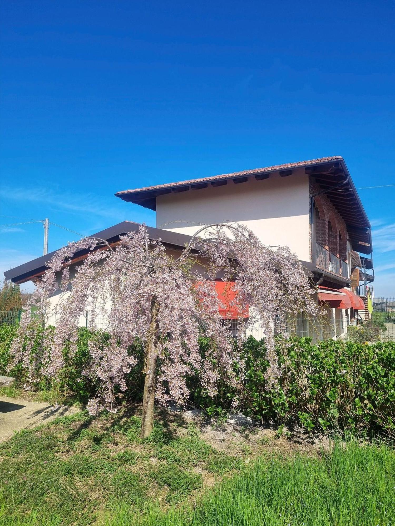 BibianaCascina La Demilana住宿加早餐旅馆 外观 照片